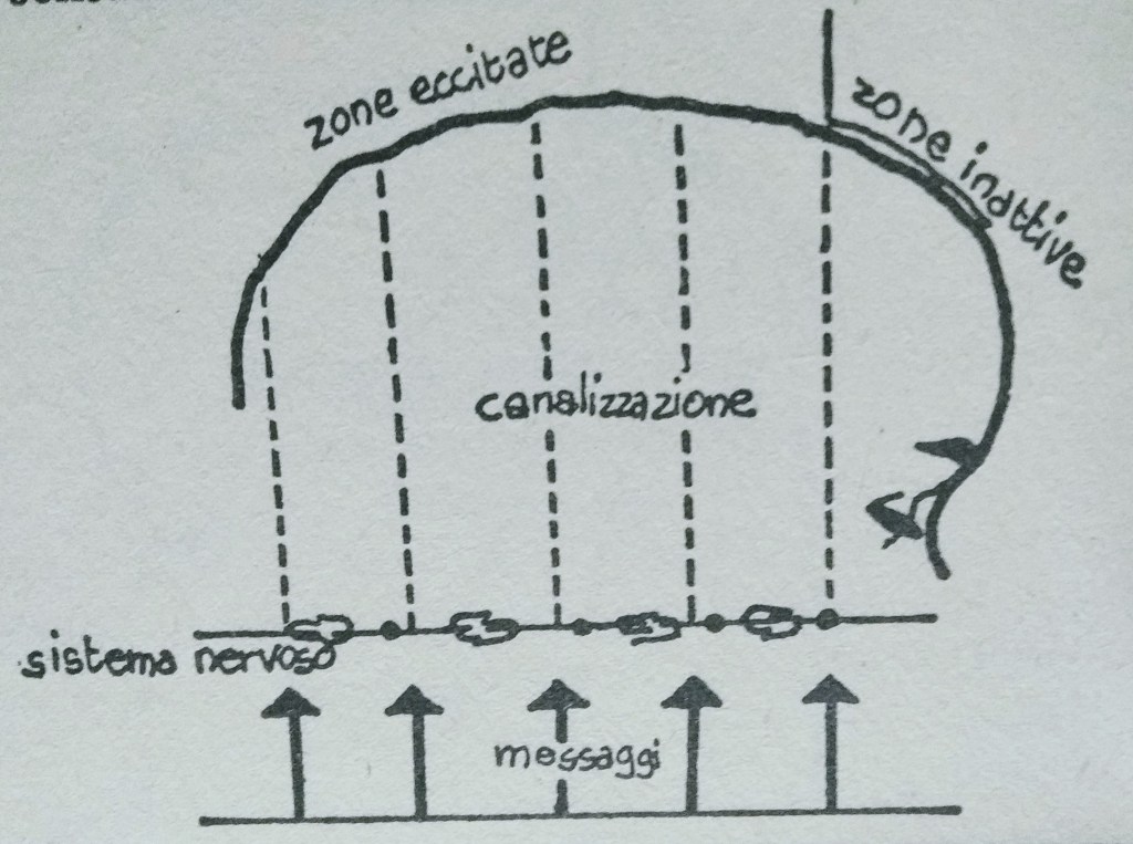 Perché questa pandemia potrebbe rivelarsi lo strumento perfetto per il controllo?
